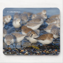 Cute Dunlins Sanderlings Sandpipers bij Beach Muismat