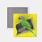 Cute Dusky Headed Parrot Bird Magnet (Voorkant / Achterkant)