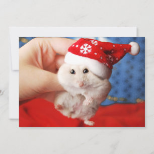 Cute dwarf hamster Tutku met pet van Santa Claus Feestdagenkaart