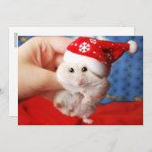 Cute dwarf hamster Tutku with Santa Claus hat Feestdagenkaart (Voorkant / Achterkant)