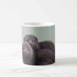 Cute Dwarf Mongoose Pair Koffiemok