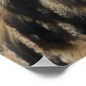 Cute eagle owl poster (Hoek)