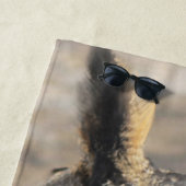 Cute eagle owl strandlaken (In situ)