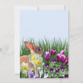 Cute Easter Brunch and Egg Hunt Family Kaart (Achterkant)