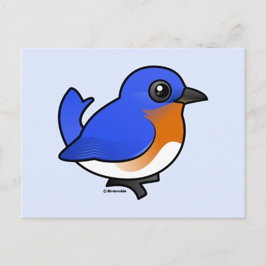 Cute Eastern Bluebird Briefkaart (Voorkant)