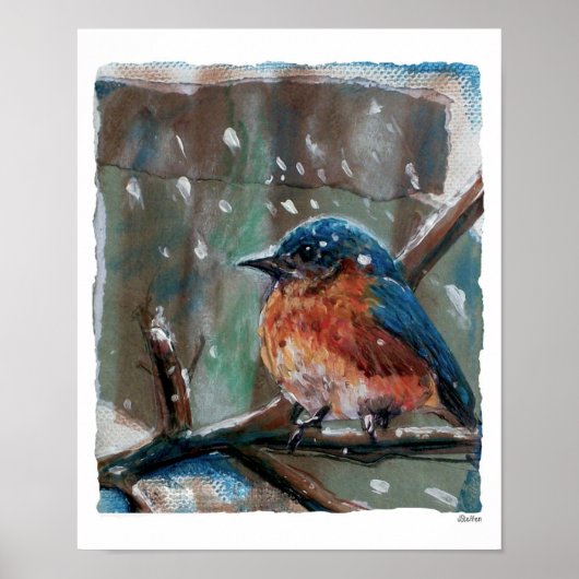 Cute Eastern Bluebird Winter Art Print (Voorkant)