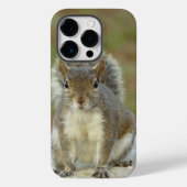 Cute Eastern Grey Squirrel close-up Case-Mate iPhone Case (Achterkant)