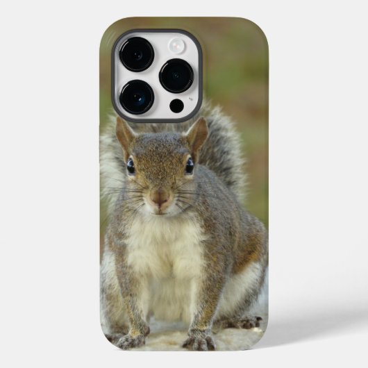 Cute Eastern Grey Squirrel close-up Case-Mate iPhone Case (Achterkant)