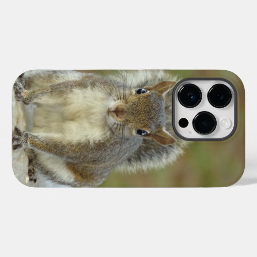 Cute Eastern Grey Squirrel close-up Case-Mate iPhone Case (Achterkant (horizontaal))