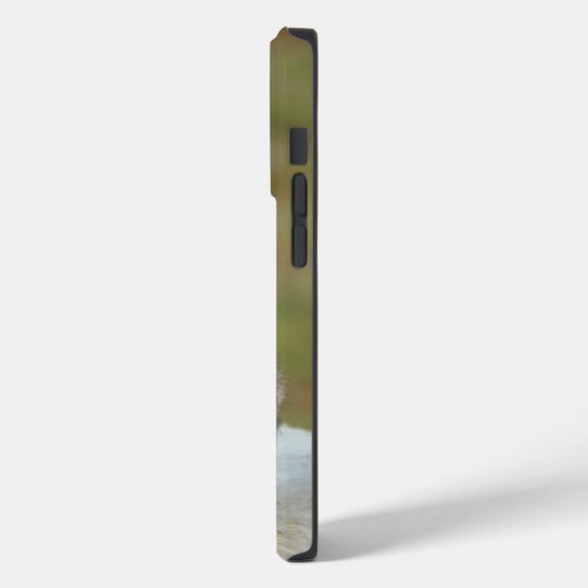 Cute Eastern Grey Squirrel close-up Case-Mate iPhone Case (Achterkant / Links)