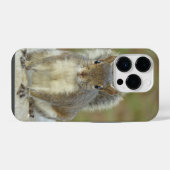 Cute Eastern Grey Squirrel close-up iPhone Hoesje (Achterkant horizontaal)