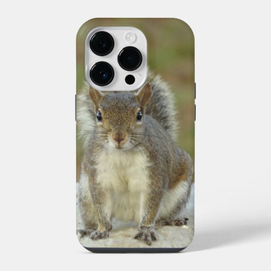 Cute Eastern Grey Squirrel close-up iPhone Hoesje (Achterkant)