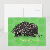 Cute echidna met bijen cartoon illustratie briefkaart (Voorkant / Achterkant)