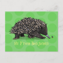 Cute echidna met bijen cartoon illustratie