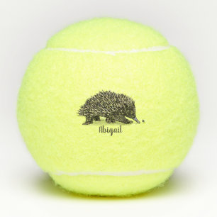 Cute echidna met bijen cartoon illustratie tennisballen