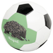 Cute echidna met bijen cartoon illustratie voetbal (Drie kwart)