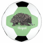 Cute echidna met bijen cartoon illustratie voetbal (Voorkant)