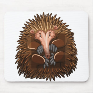 Cute echidna muismat