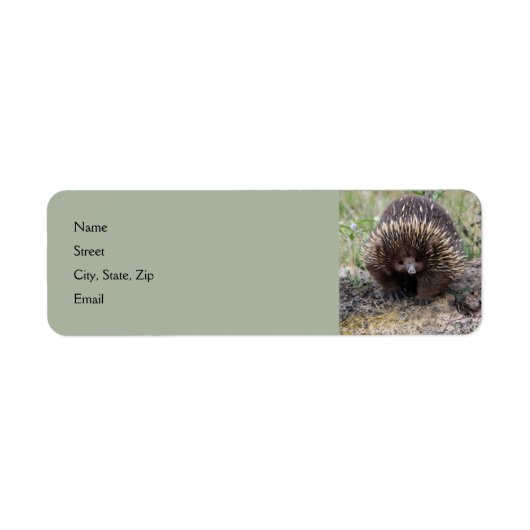 Cute Echidna uit Australië Etiket (Voorkant)
