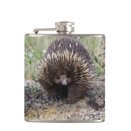 Cute Echidna uit Australië Heupfles (Voorkant)