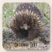 Cute Echidna uit Australië Onderzetter (Voorkant)