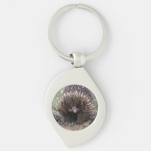 Cute Echidna uit Australië Sleutelhanger (Voorkant)