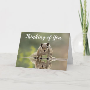 Cute Eekhoorn Denk Aan Jou Wenskaart Kaart