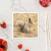 Cute eekhoorn eet een noot foto servet (Insitu)