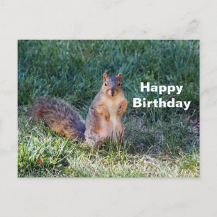 Cute Eekhoorn Foto Verjaardag Briefkaart