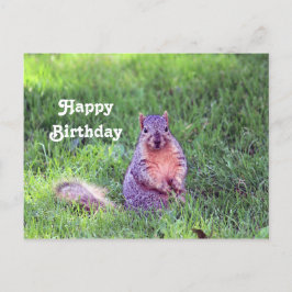 Cute Eekhoorn Natuurfoto Verjaardag Briefkaart