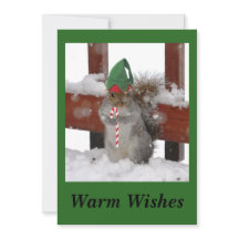 Cute Eekhoorn Plat Kerstkaart op Groen