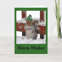 Cute Eekhoorn Vouw Kerstkaart op Groen