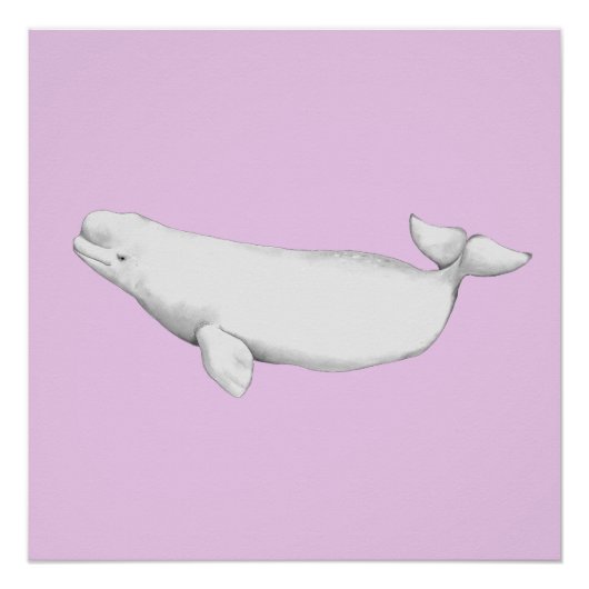 Cute Elegant Beluga Whale Book Illustration Perfect Poster (Voorkant)