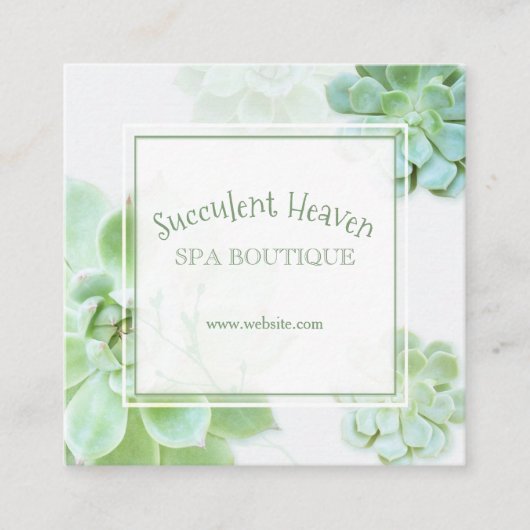 Cute Elegant Succulent Vierkante Visitekaartje (Voorkant)