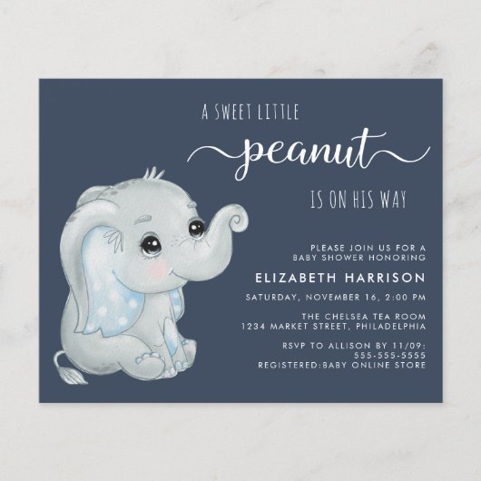 Cute Elephant Baby Boy Shower Invitation (Voorkant)