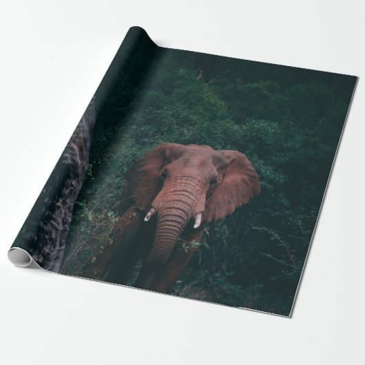 CUTE ELEPHANT CADEAUPAPIER (Uitgerold)