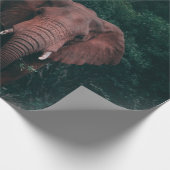 CUTE ELEPHANT CADEAUPAPIER (Hoek)