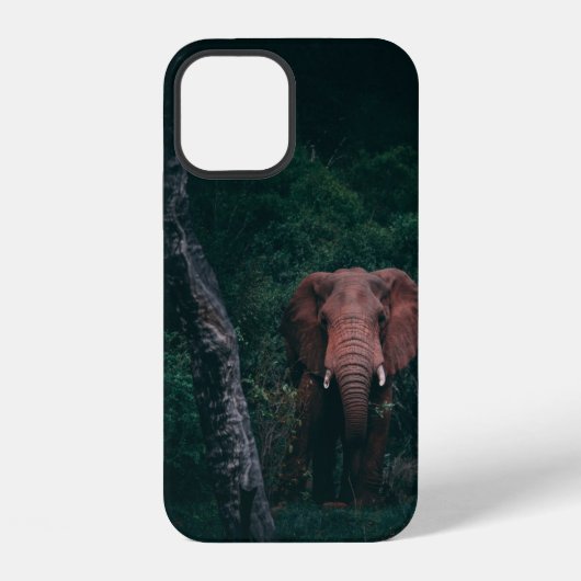 CUTE ELEPHANT iPhone HOESJE (Achterkant)