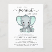 Cute Elephant Mint Couples Baby shower Invitation (Voorkant)