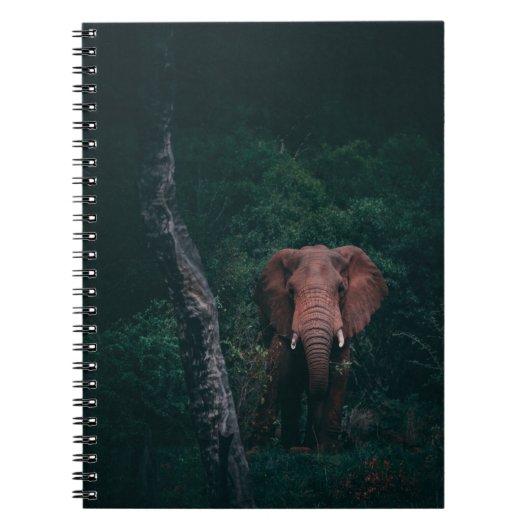 CUTE ELEPHANT NOTITIEBOEK (Voorkant)
