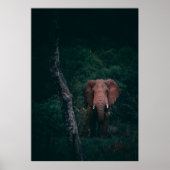 CUTE ELEPHANT POSTER (Voorkant)