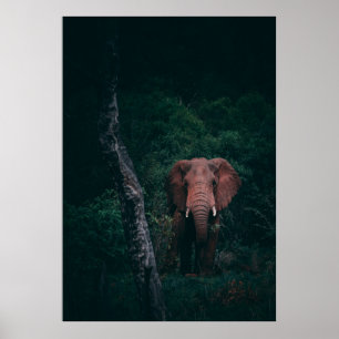 CUTE ELEPHANT POSTER
