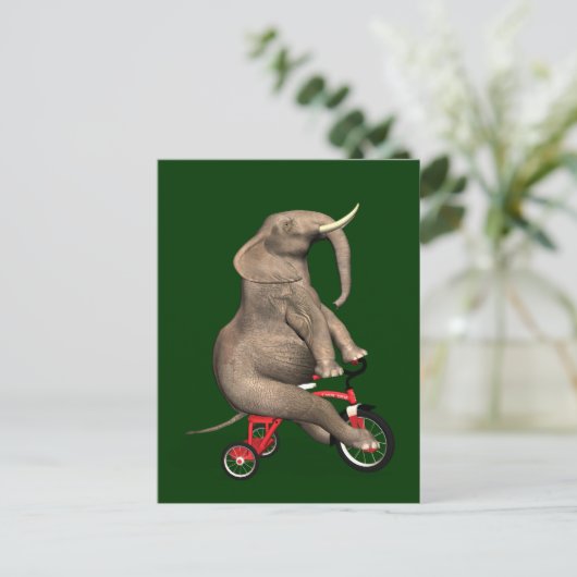 Cute Elephant Riding a Tricycle Briefkaart (Staand voorkant)