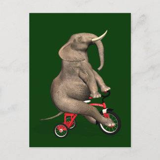 Cute Elephant Riding a Tricycle Briefkaart