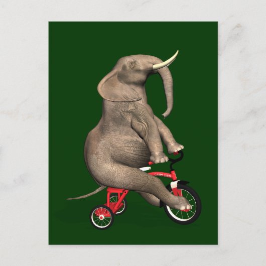 Cute Elephant Riding a Tricycle Briefkaart (Voorkant)