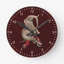 Cute Elephant Riding a Tricycle