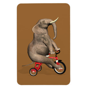 Cute Elephant Riding a Tricycle Magneet