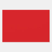 Cute ELF WATCHING met kerstcoördinatie Inpakpapier Vel (Voorkant 3)