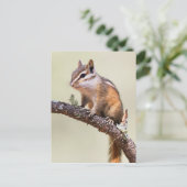 Cute en chubby chipmunk briefkaart (Staand voorkant)