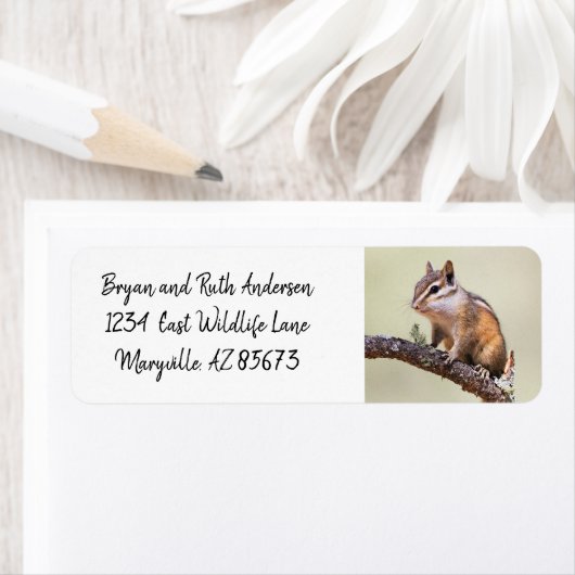 Cute en chubby chipmunk etiket (Insitu)